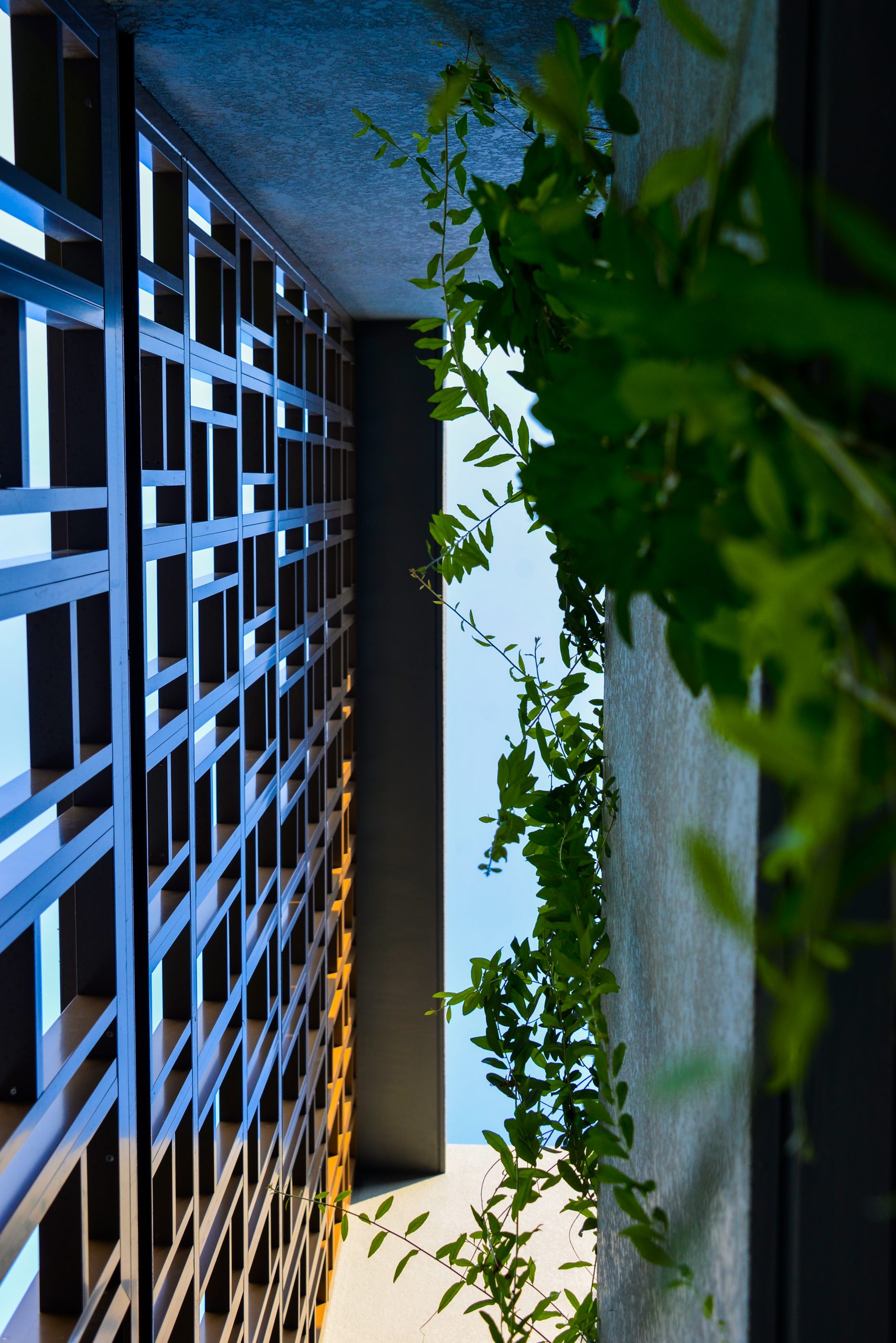 Simon Place — thumbnail 7